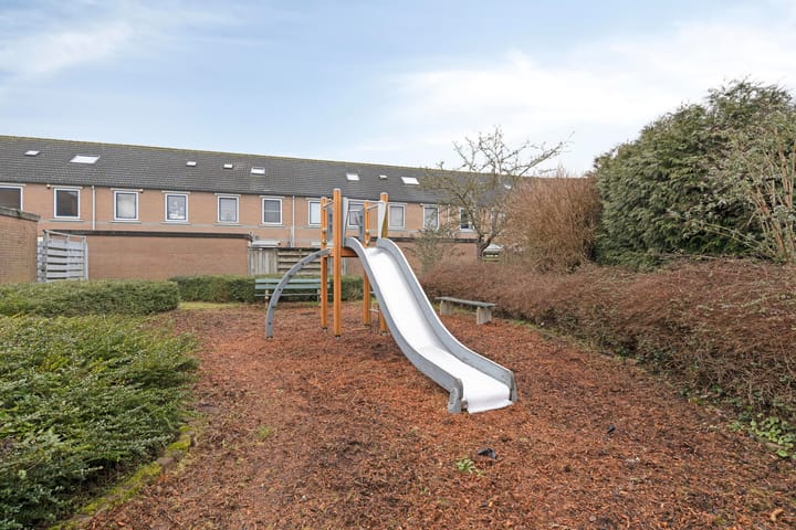 Foto 50 van Regenwulp 14