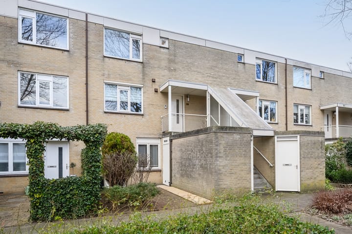 Baljuw 21 main image