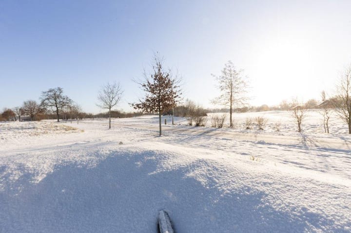 Foto 44 van Zwart Moerken 8