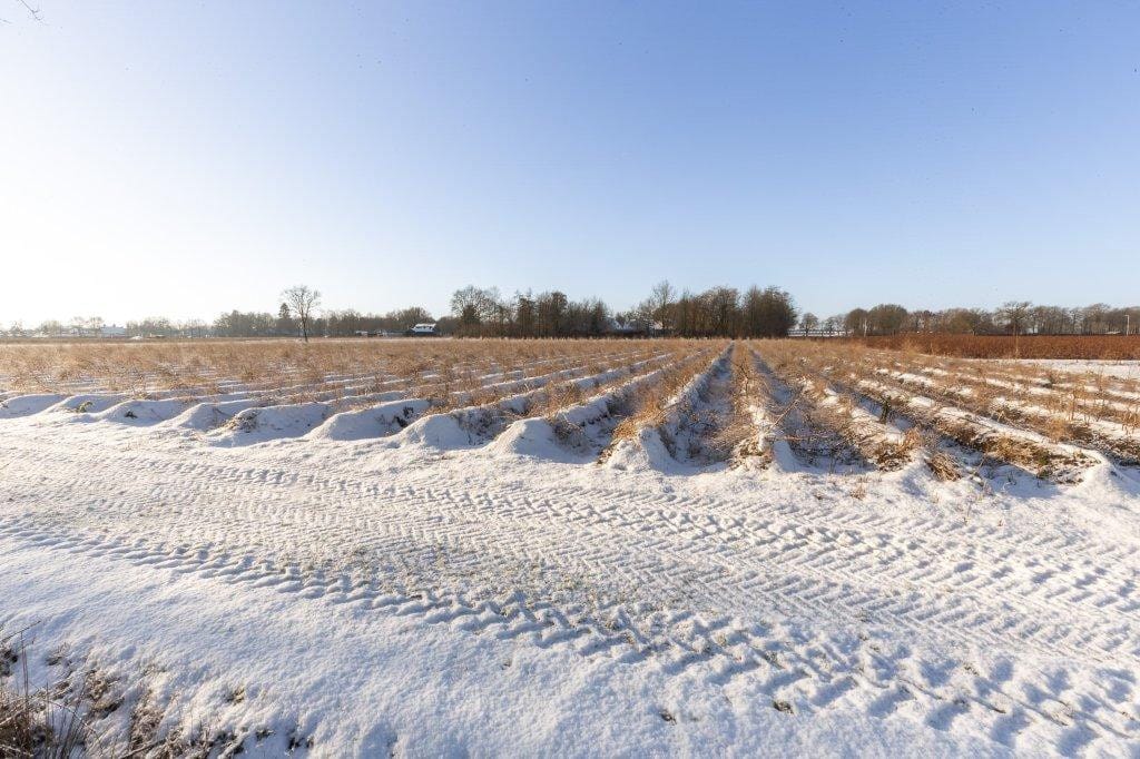 Foto 48 van Zwart Moerken 8