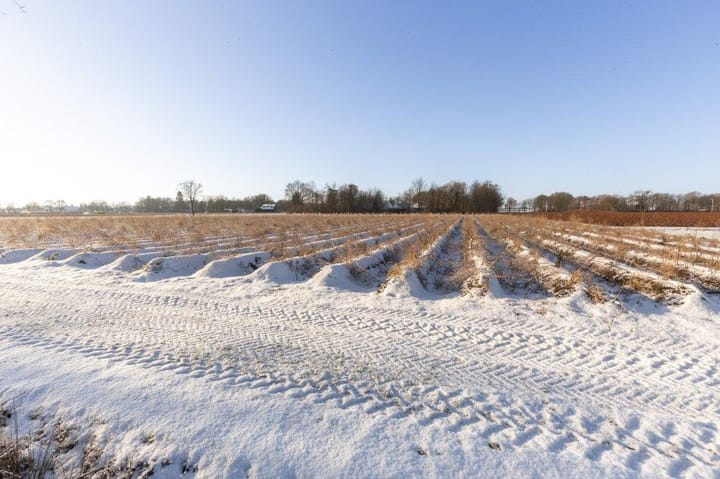 Foto 48 van Zwart Moerken 8