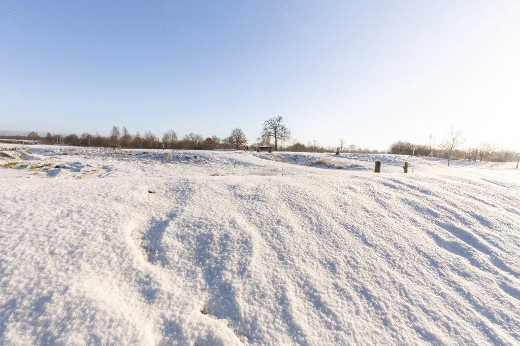 Foto 46 van Zwart Moerken 8