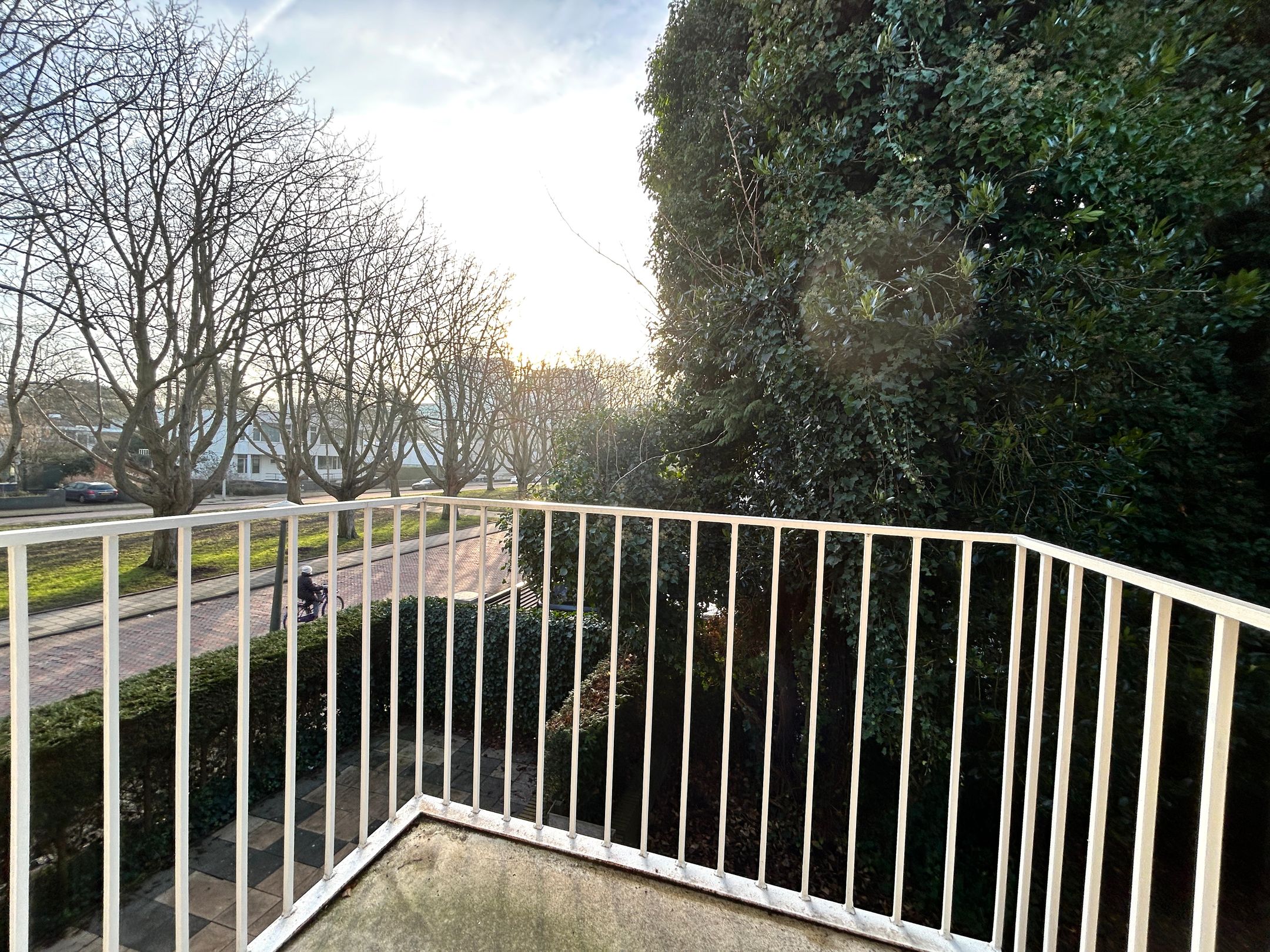 Photo 15 of Minervalaan 100