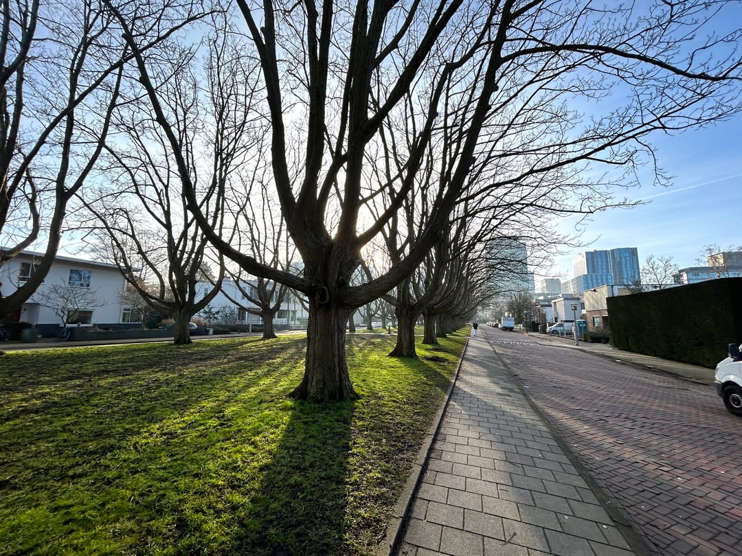 Photo 28 of Minervalaan 100