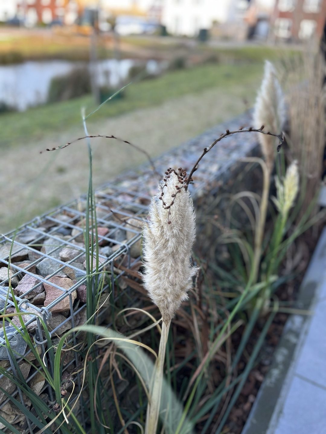 Foto 23 van De Laan van Westlands Roem 55