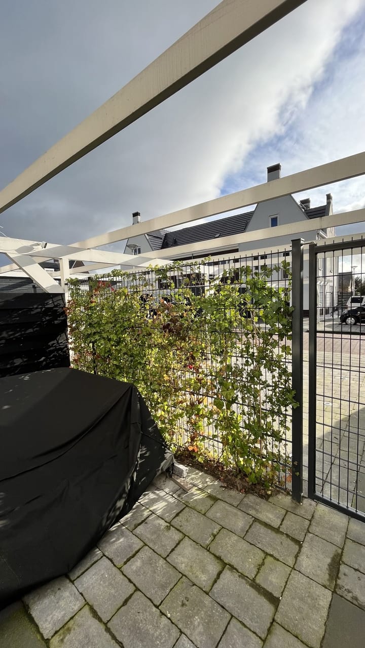 Foto 4 van De Laan van Westlands Roem 55