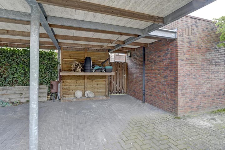 Foto 39 van Grasvogel 17