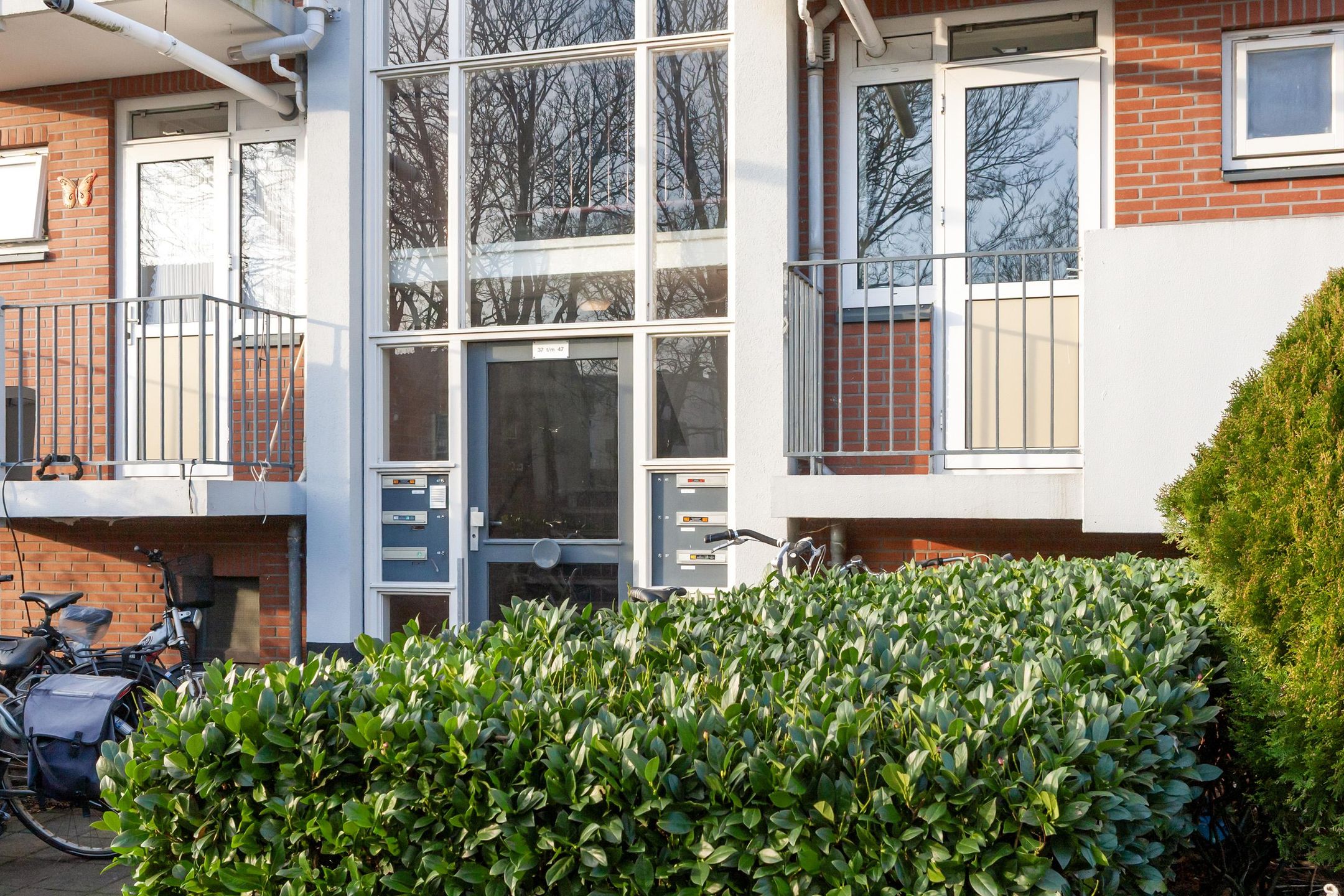 Foto 3 van Peter van Anrooystraat 37