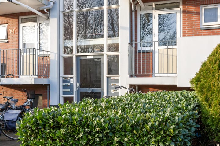 Foto 3 van Peter van Anrooystraat 37