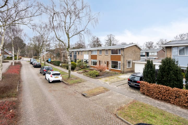 Foto 3 van Hazzeleger 11