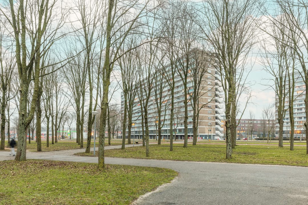 Foto 31 van Burgemeester Hogguerstraat 989