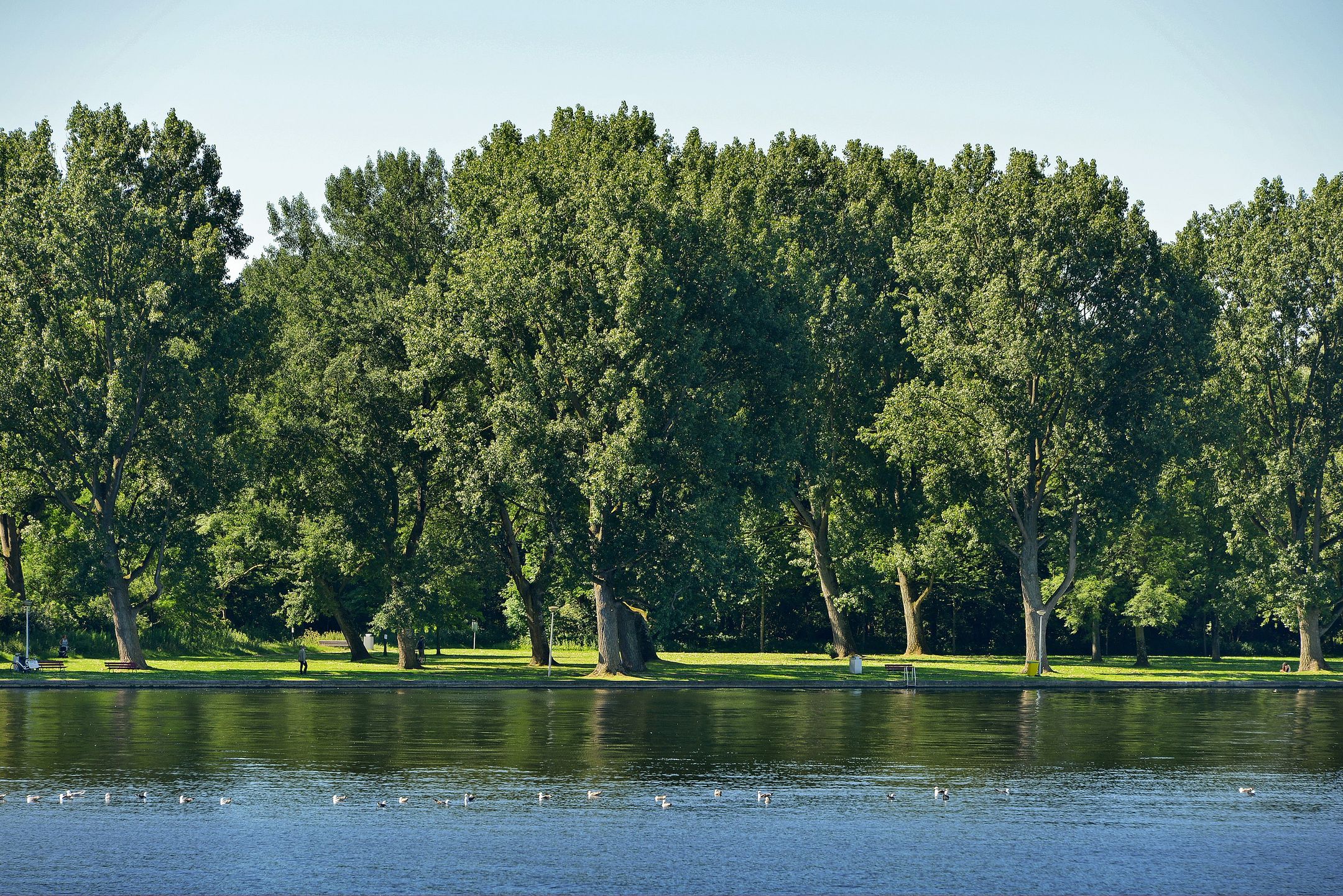 Foto 36 van Burgemeester Hogguerstraat 989