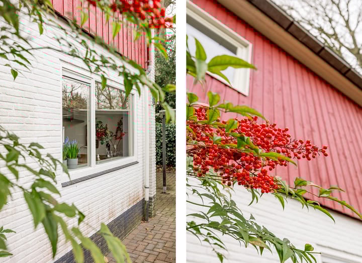 Photo 43 of Talmalaan 4