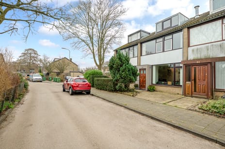 undefined main image