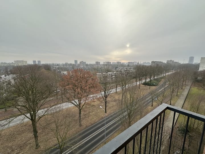 Foto 2 van Pisanostraat 206