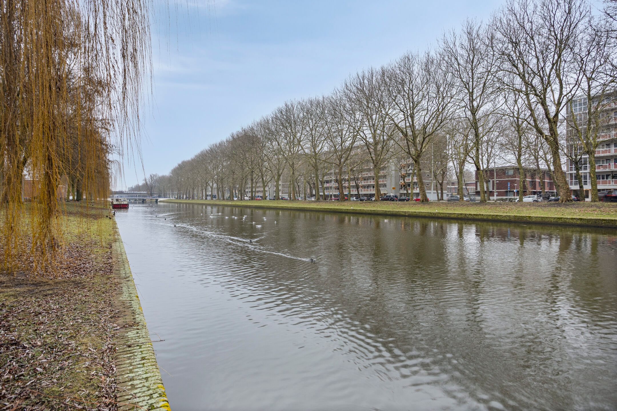 Foto 30 van Andries Snoekstraat 15-2