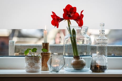 Padangstraat 18 tertiary image