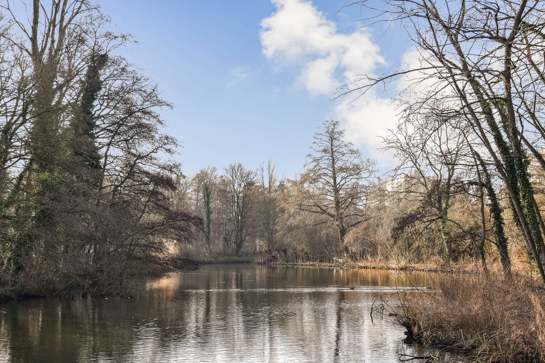 Foto 23 van Orteliusstraat 241-1