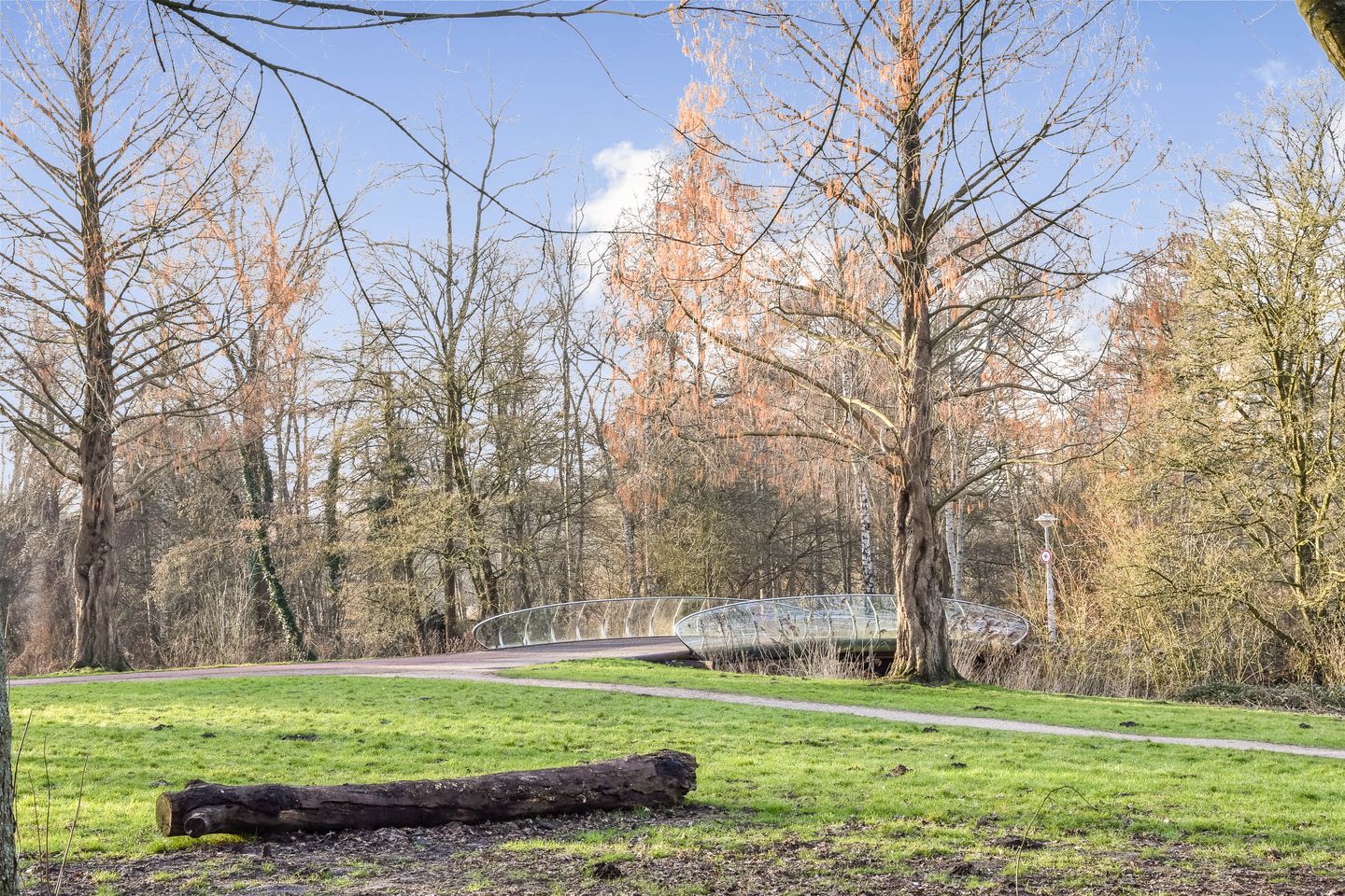 Foto 25 van Orteliusstraat 241-1