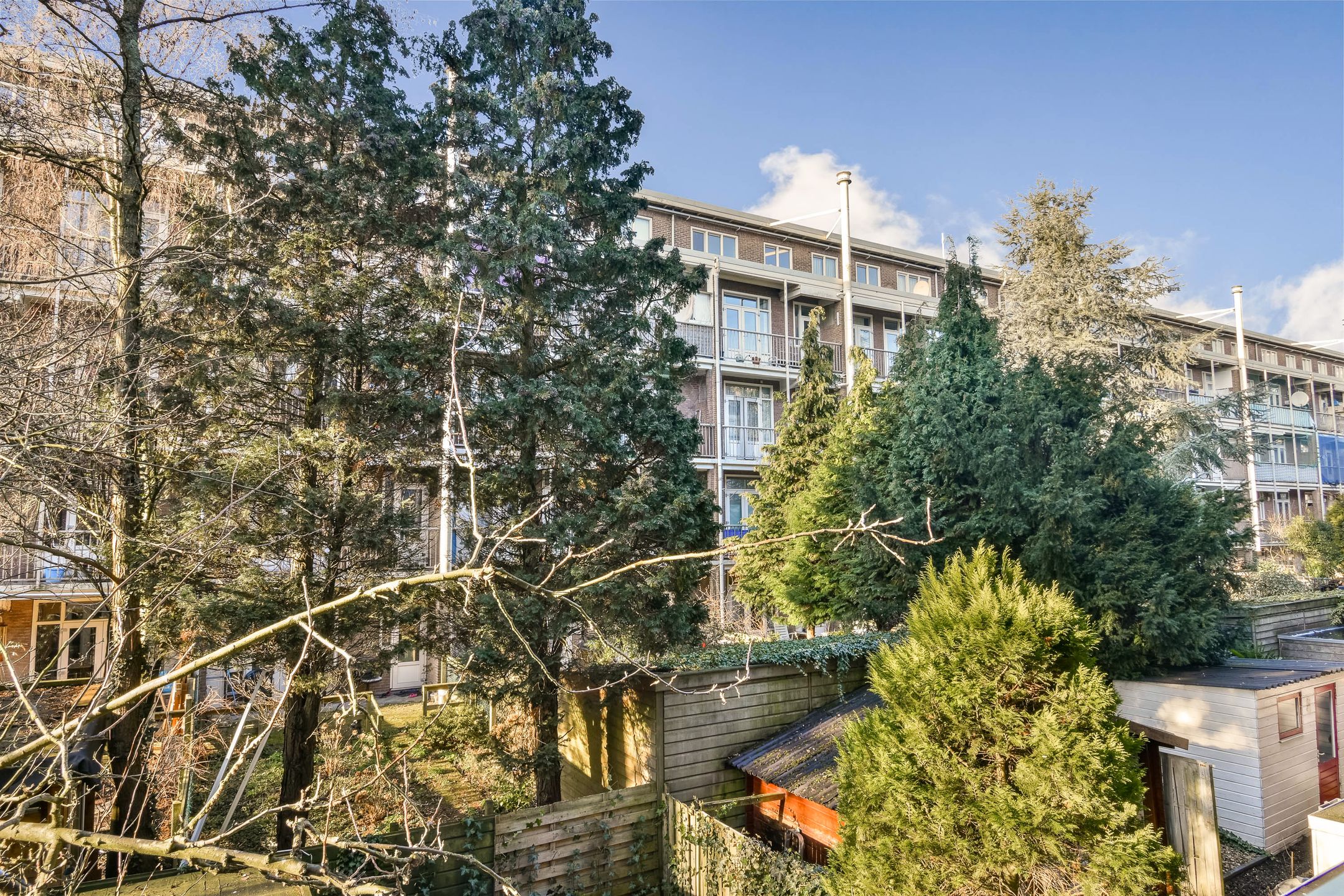 Foto 15 van Orteliusstraat 241-1