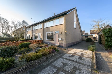 undefined main image