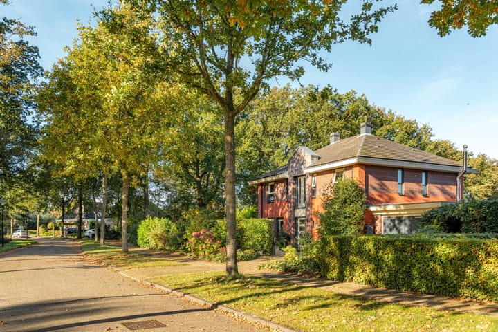 Foto 40 van Fonteinkruid 39