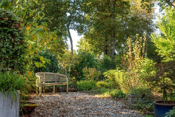 Foto 46 van Fonteinkruid 39