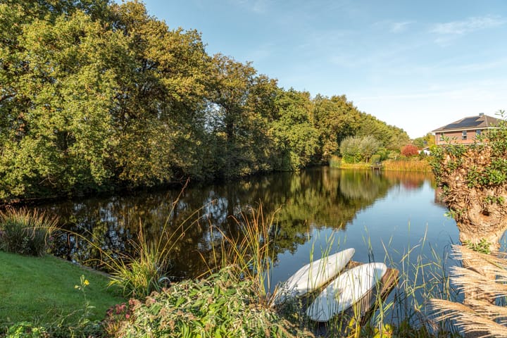 Foto 47 van Fonteinkruid 39