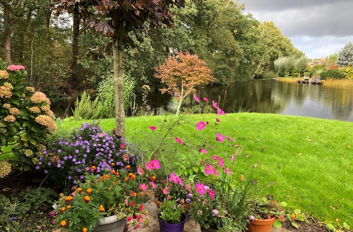 Foto 51 van Fonteinkruid 39