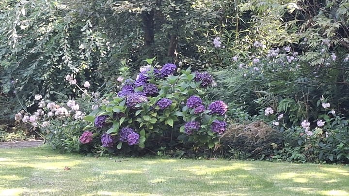 Foto 40 van Golfpad 16