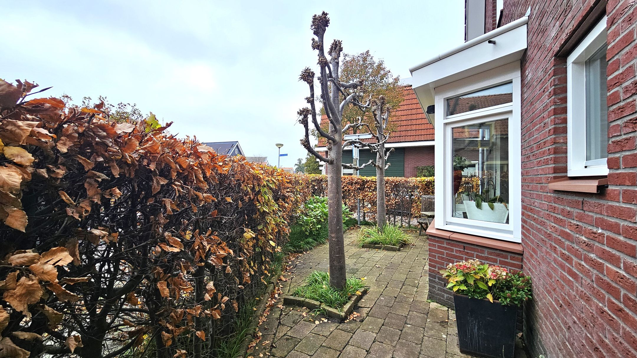 Photo 39 of Dorpsstraat 407