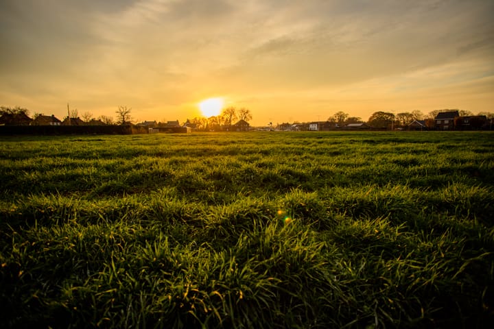 Photo 19 of Zonnendael