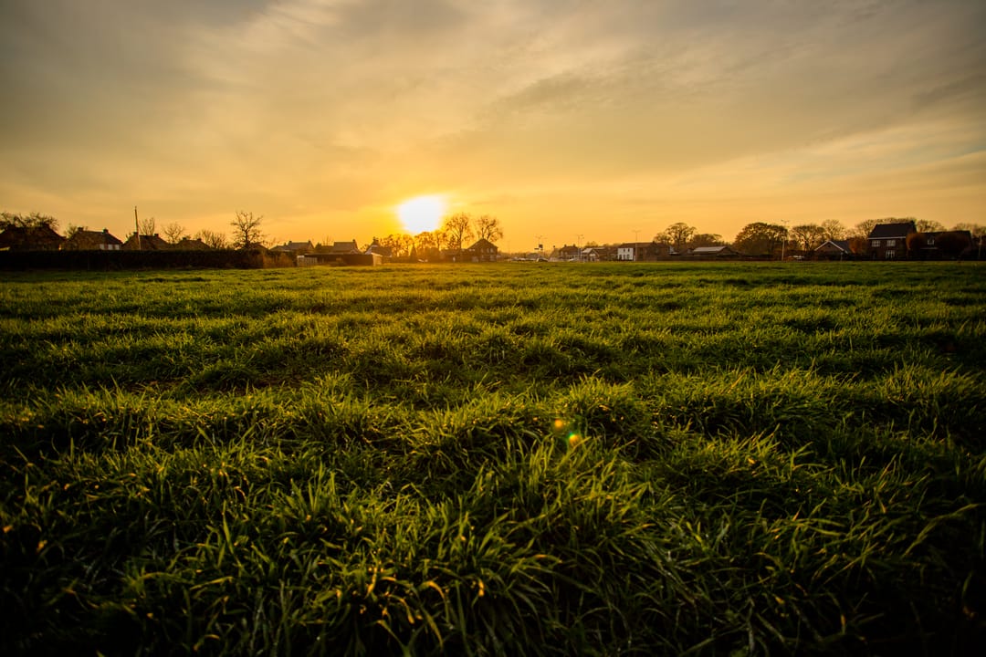 Foto 17 van Eickerveld 35