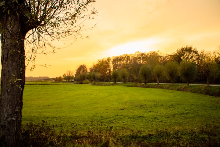 Photo 18 of Eickerveld 37