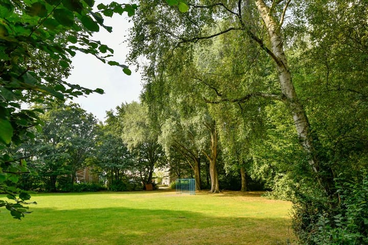 Foto 31 van Korvet 35