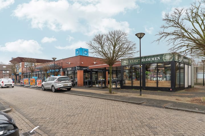 Foto 46 van Zalmplein 26