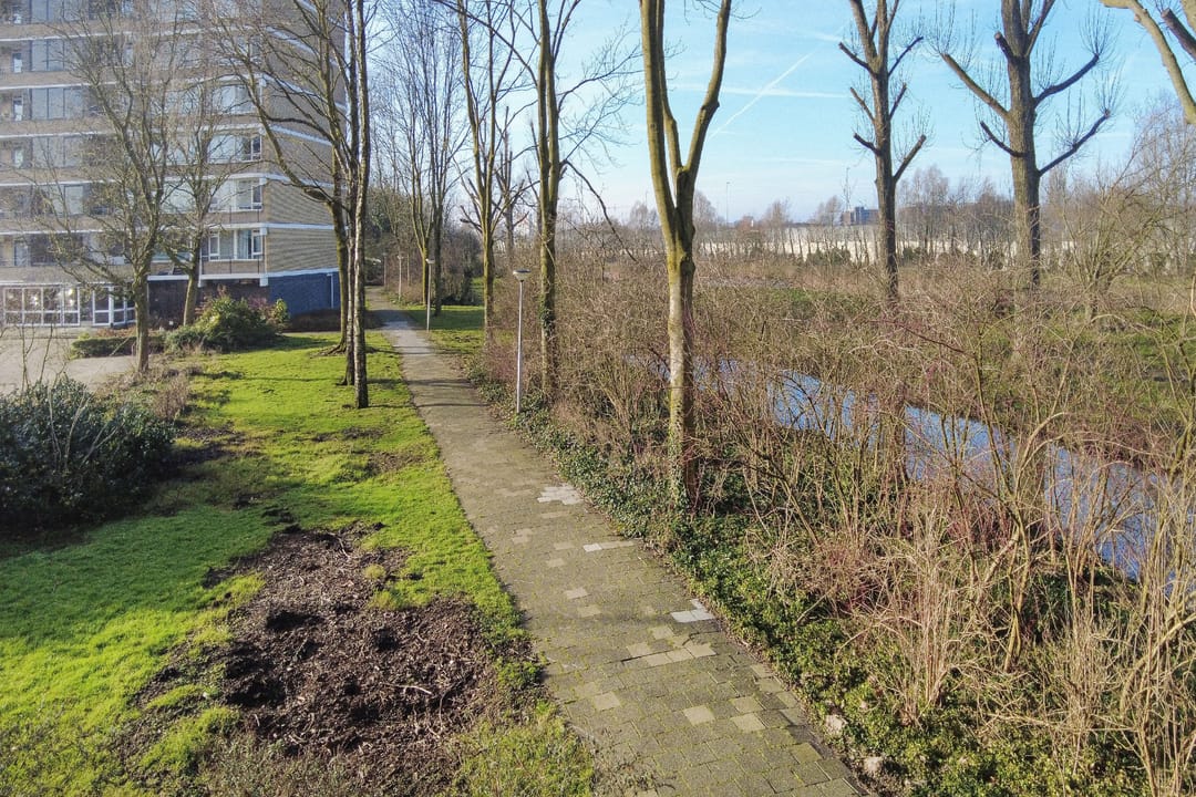 Photo 28 of Tobias Asserlaan 275