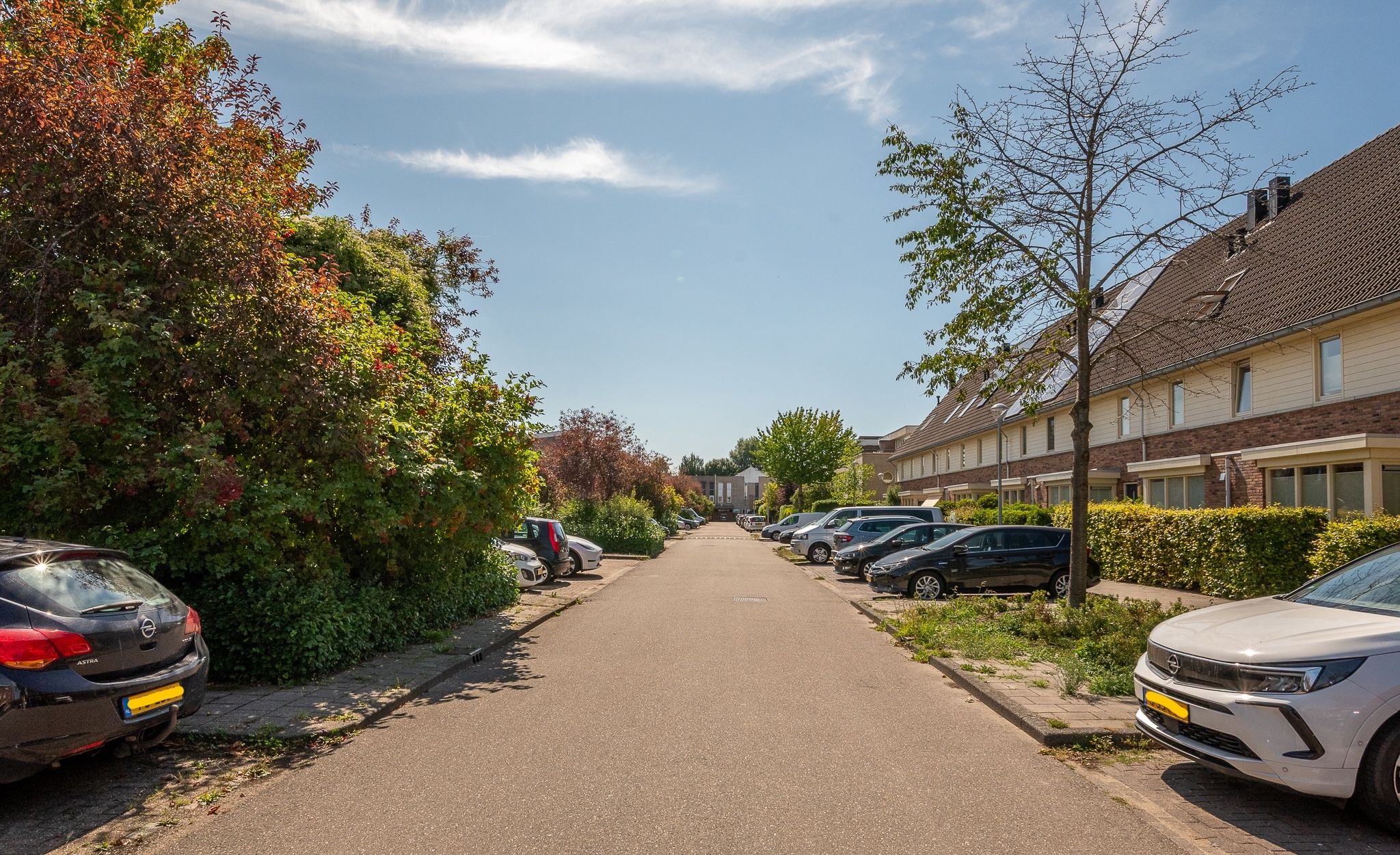 Photo 27 of Wittenburg 17