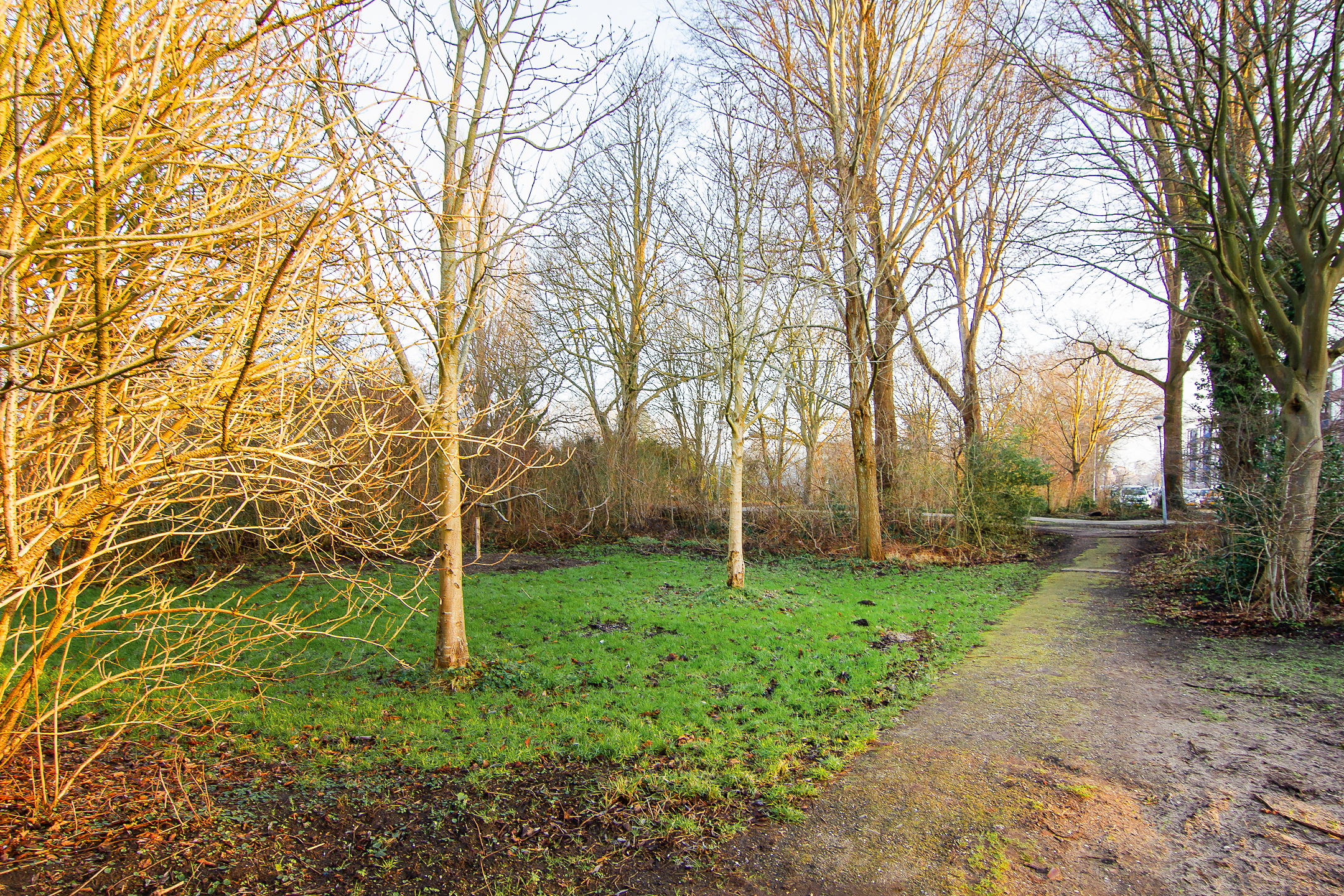 Photo 27 of Mr. Jan Gerritszlaan 49-I