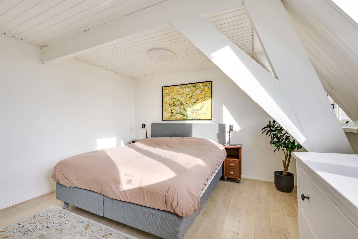 Foto 4 van Dirkje Mariastraat 17-BS