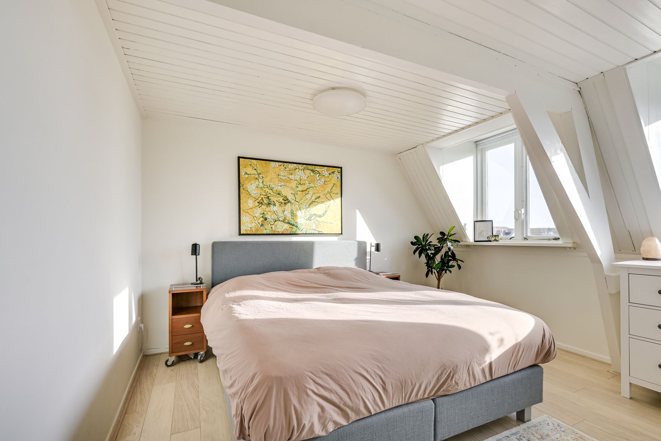 Foto 21 van Dirkje Mariastraat 17-BS