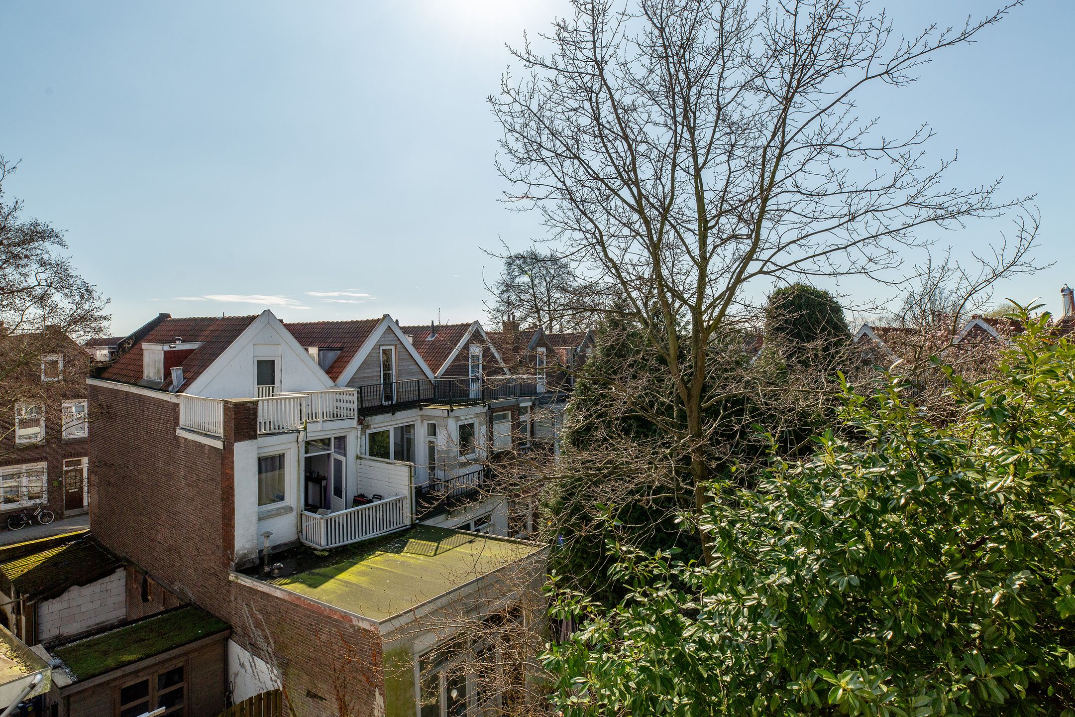 Foto 18 van Parallelstraat 65-B