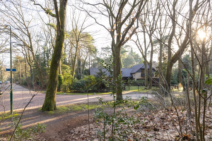 Photo 51 of Bachlaan 9