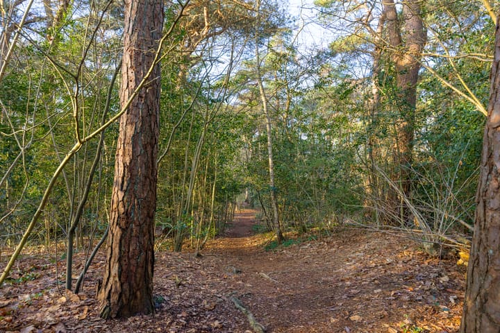 Photo 52 of Bachlaan 9