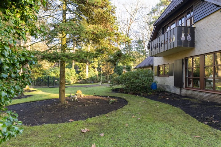 Photo 46 of Bachlaan 9