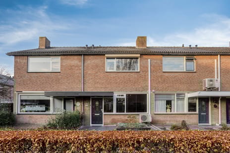 undefined main image