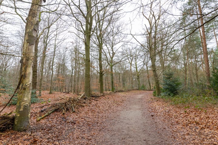 Foto 45 van Plein Vogelzang 10