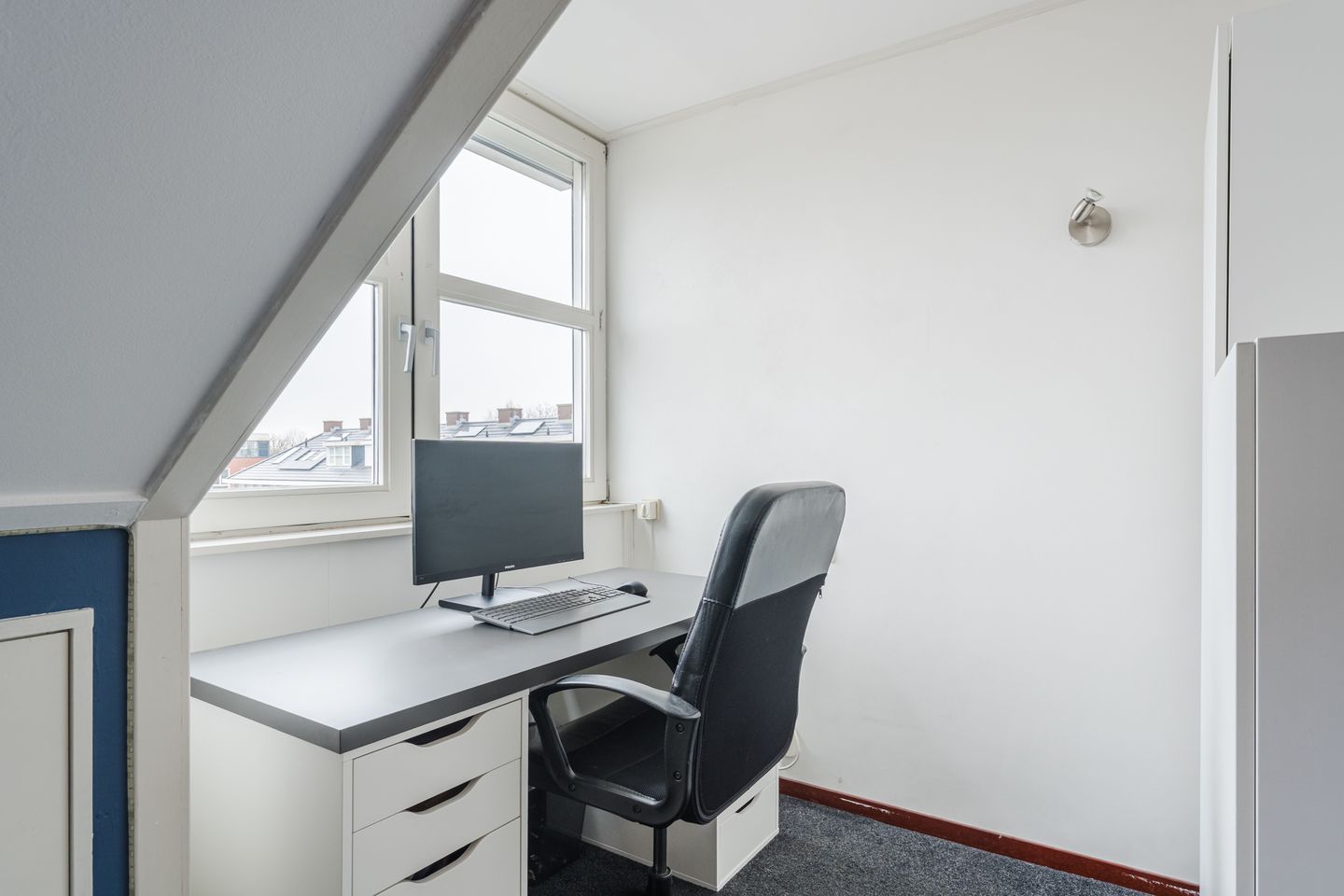 Foto 35 van Slechtvalk 6