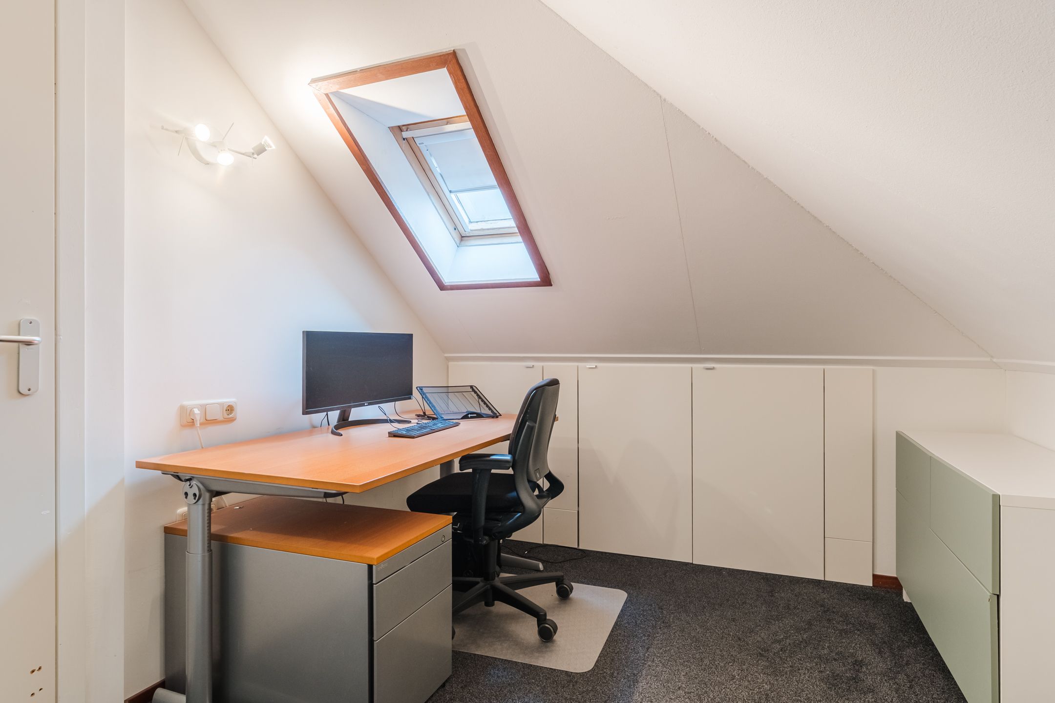 Foto 36 van Slechtvalk 6