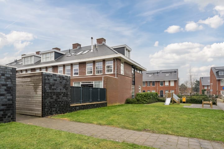 Foto 41 van Slechtvalk 6